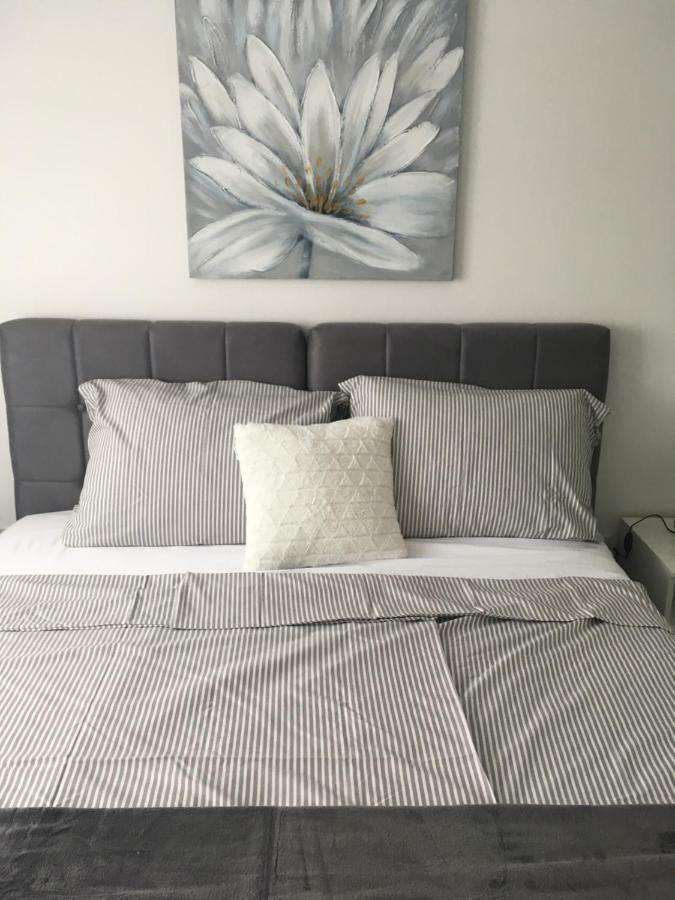 Luxury Apartments Vucinic 皮罗瓦茨 外观 照片
